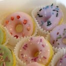 빵먹는 강아지 이미지