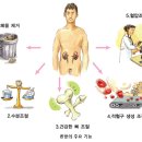 분당본내과의원 이미지