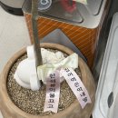 막내딸떡볶이