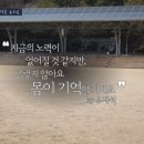 감동마켓 이미지