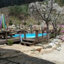 해뜰무렵 이미지