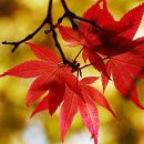 샤론미용실 이미지