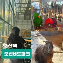 24464_오산역환승센터1층 | 경기도 실내 가볼만한곳 오산버드파크 카피바라 동물원 할인 놀거리