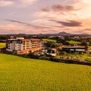 제주힐리조트 이미지