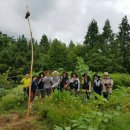 서호공원 이미지