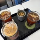 카페바우