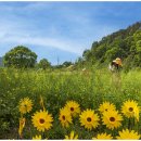 수수당구장 이미지