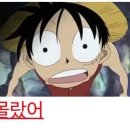 로마딜리버리 | 250705 라이즈 단독콘서트 라이징라우드 중콘 후기 - 셋리, 체조경기장 2층 시야, 주차