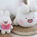 인형의 거리(토끼) 이미지