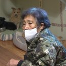 아지네
