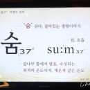 숨스토어 네이버블로그