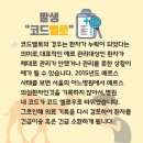 옐로우코드 이미지