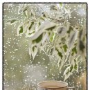 중흥OK공인중개사사무소 이미지