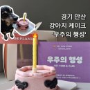 우주의행성 | 안산 당일 강아지 케이크 가능한 무인 24시 매장 "우주의 행성" 후기