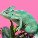 수성동물병원 이미지