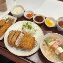 오레노카츠 판교점 | 판교 돈가스맛집 <오레노카츠> 메뉴,주차, 판교점심 / 내돈내산 후기