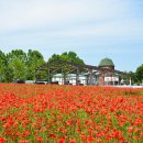 수원-0444 이미지