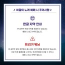 비밀의노래 이미지