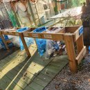 정글펜션 이미지