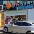 유현동물병원 이미지