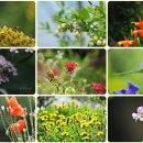 부광농장 이미지