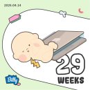 디에러스튜디오 | 26년 4월 일상 • 임당 관리 ing, 벚꽃 시즌, 셀프 만삭사진, 입체초음파, 아가방 만들기, 맘마존 세팅...