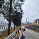 삼척남초교 | 2026/04/11 - [영월] 관풍헌, 금강정, 낙화암, 장릉, 영월관광센터(삼척남초 작가와의 만남), 청령포