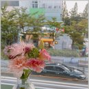 오로롱 이미지