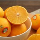 향긋농장 이미지