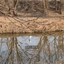 경춘선 자전거도로2 | 임장10] 3기신도시 남양주왕숙1 B17 임장 '생생' 후기! (ft. 또 퇴계원 부지 방문, 구리역 하이니티...