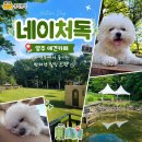 맑은물부경독 | 양주 네이처독 천연잔디 강아지 운동장 넓고 쾌적해서 대만족했던 주말 나들이