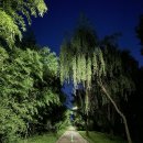 청계천로 이미지