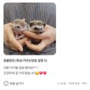미니펫 | 처음 시작하는 고슴도치 키우기, 분양가 케이지 수명까지 미니펫스쿨에서 한 번에