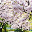 넘버25호텔 남구미점 이미지