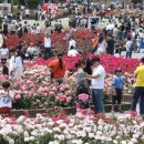 아리바바2 이미지