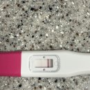 배란테스트기 두줄 피크 수치 시간 시기→얼리 임테기 엄청한 희미한 두줄 병원 후기