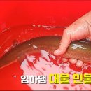 대물장어 이미지