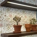 연어마을 이미지