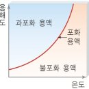 원솔 이미지