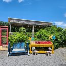 생생가정의학과의원 이미지