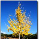 목동천길 이미지