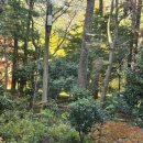 수희재펜션 이미지