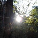 위례약수 이미지