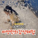 나무와 친해지기 | 부산 아이랑 실내 가볼만한 곳 이영란의 감성체험 후기 &amp; 관람 꿀팁