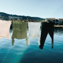 더 세탁 이미지