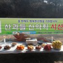 발가벗은돼지