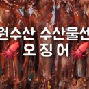 동원수산 수산물센터