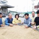 안성마춤농협미곡처리장 이미지