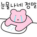 운정무드인무어