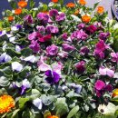 예덕옹심이칼국수 이미지